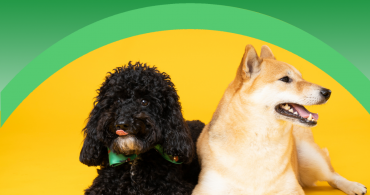 Veterinaria e Cura degli Animali