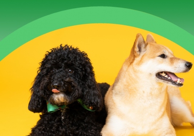 Veterinaria e Cura degli Animali